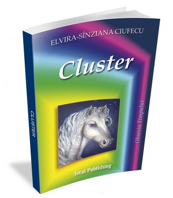 Elvira Sinziana Ciufecu - Cluster